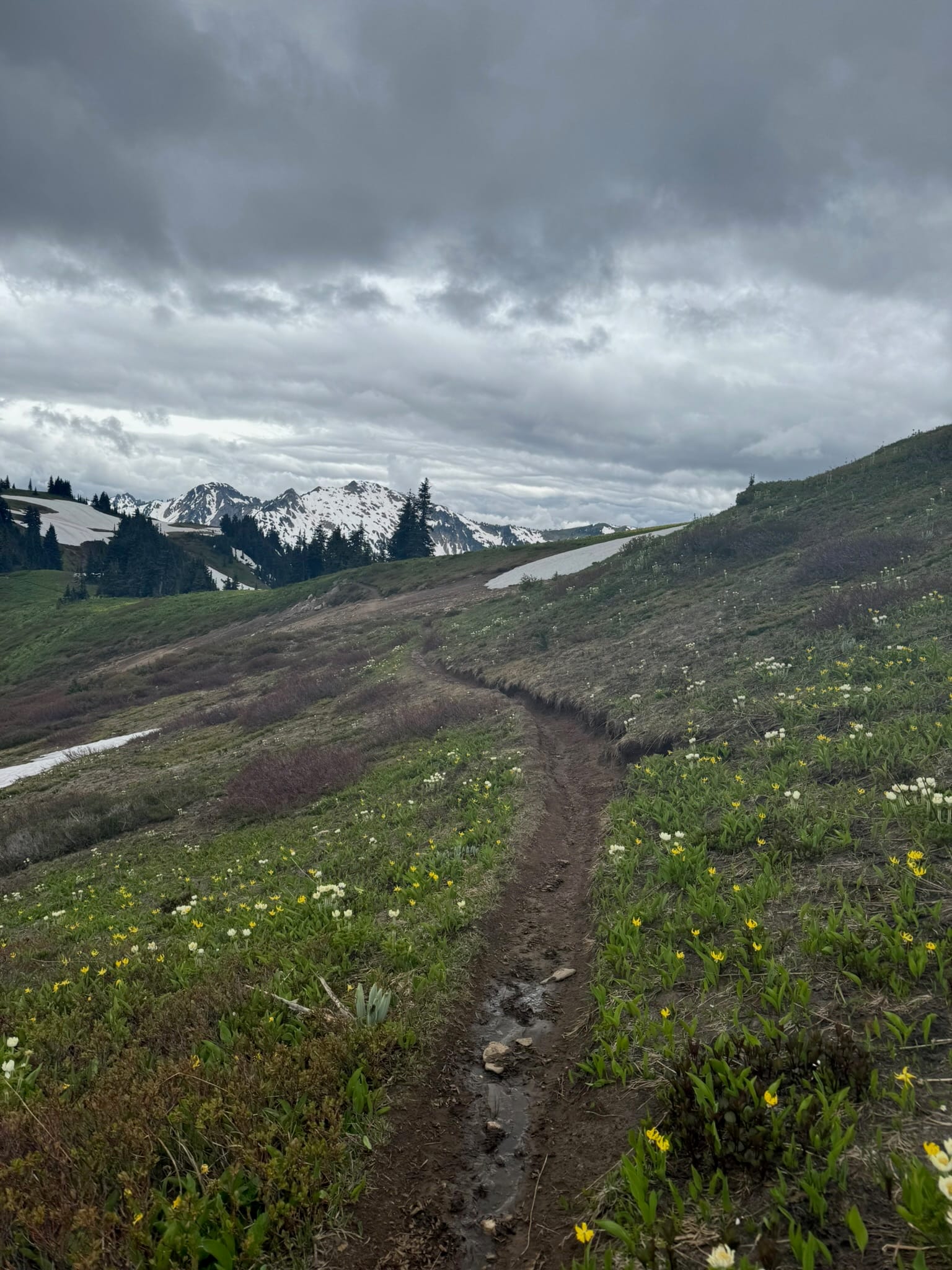 I did sing that the Hills Were Alive With The Sound of Music