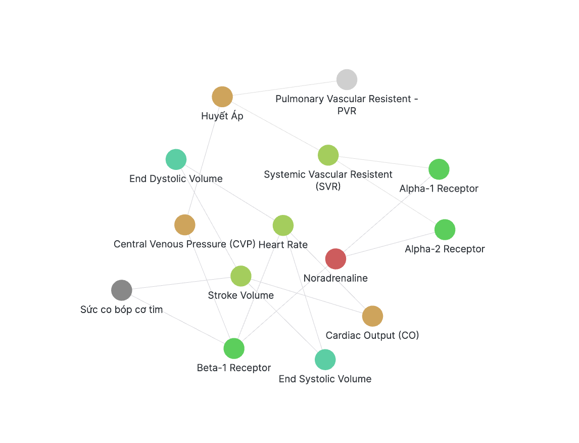 Những mối liên kết tưởng chừng rối bời, nhưng lại bổ sung lẫn nhau, hoàn thiện thành mạng lưới kiến thức của chúng ta, giống như cách não bộ của chúng ta hoạt động vậy!