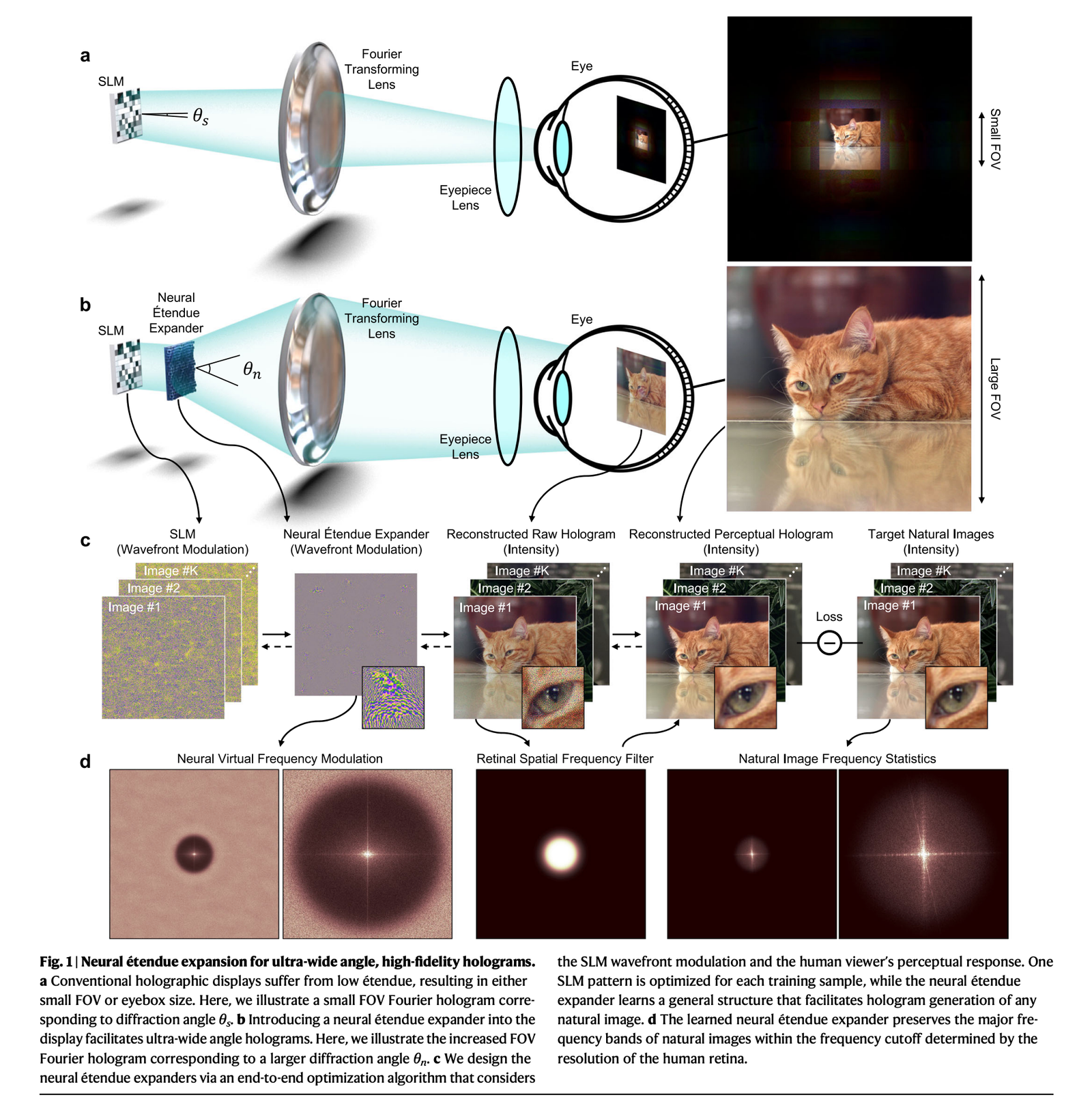 Meta & Princeton Hack Display Physics—64× Wider, Retina-Sharp XR with a Neural Étendue Expander post image