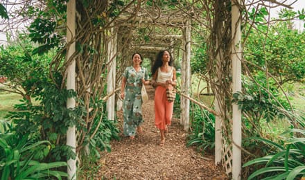 An Aloha State of Mind 