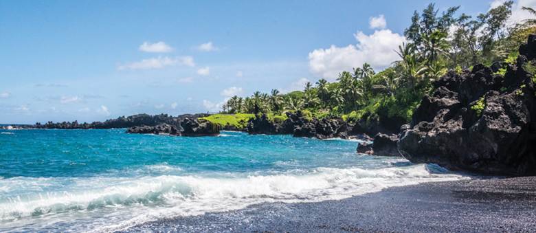 Travel Leaders Image