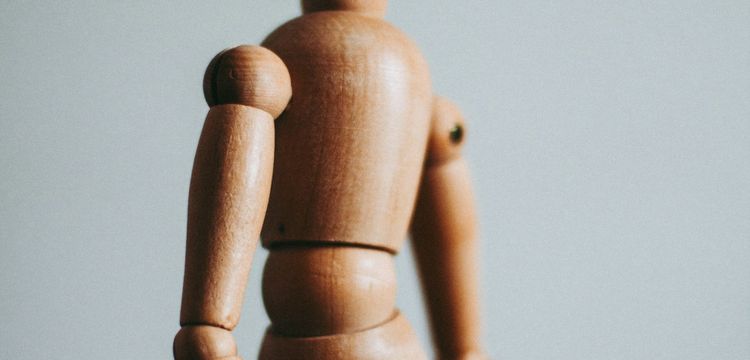 I Sing the Body Mechanical