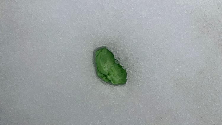 green piece of chewing gum melted down into a surface of icy snow