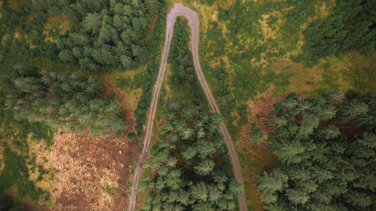 an aerial view of a road in the wilderness that leads nowhere
