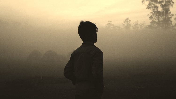 person looking off into mist or smoke with undefined trees in the distance
