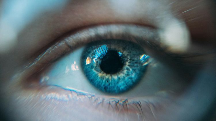 close up shot of a human eye