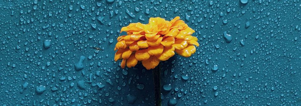 Stronger Than Rain