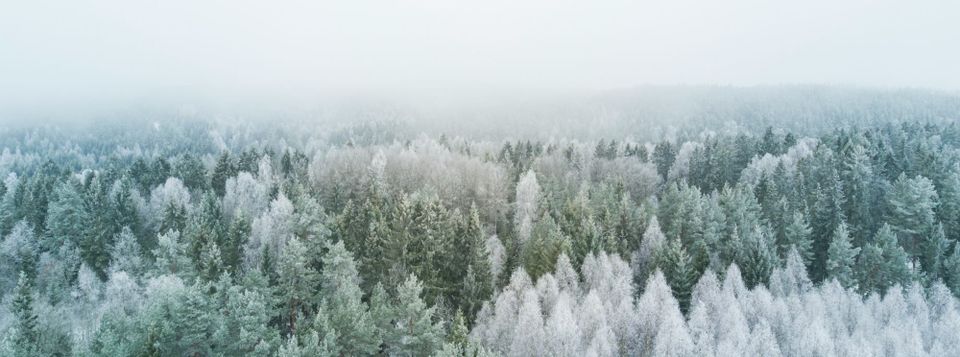 In Winter