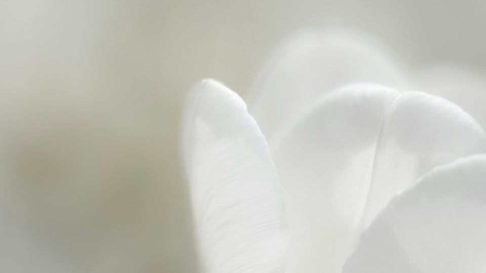 How Softly