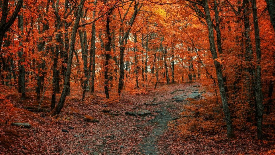 October Ends