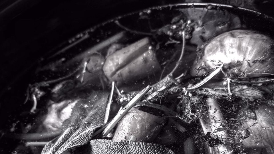 black and white close-up of a pan of vegetables and herbs being cooked for a stew