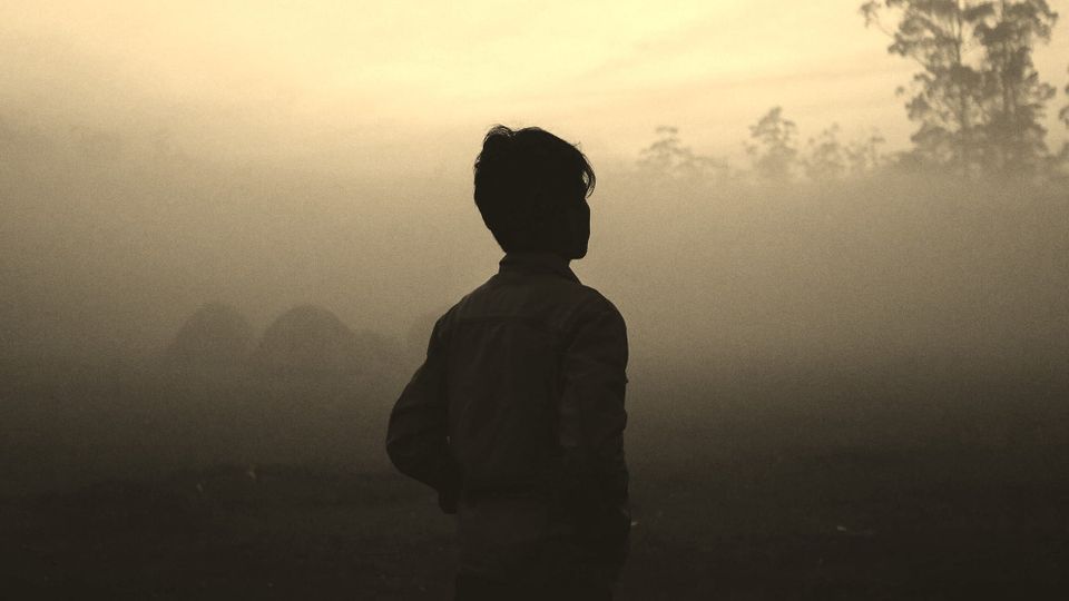 person looking off into mist or smoke with undefined trees in the distance