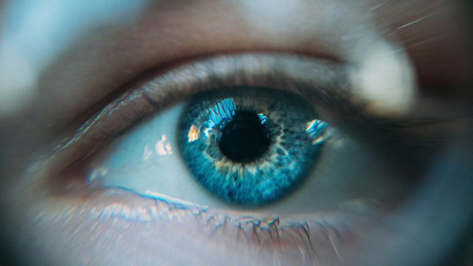 close up shot of a human eye