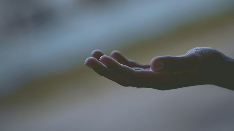 human hand outstretched, open palm, palm up