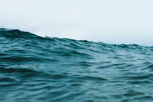 When the Ocean knocks, Redford Answers