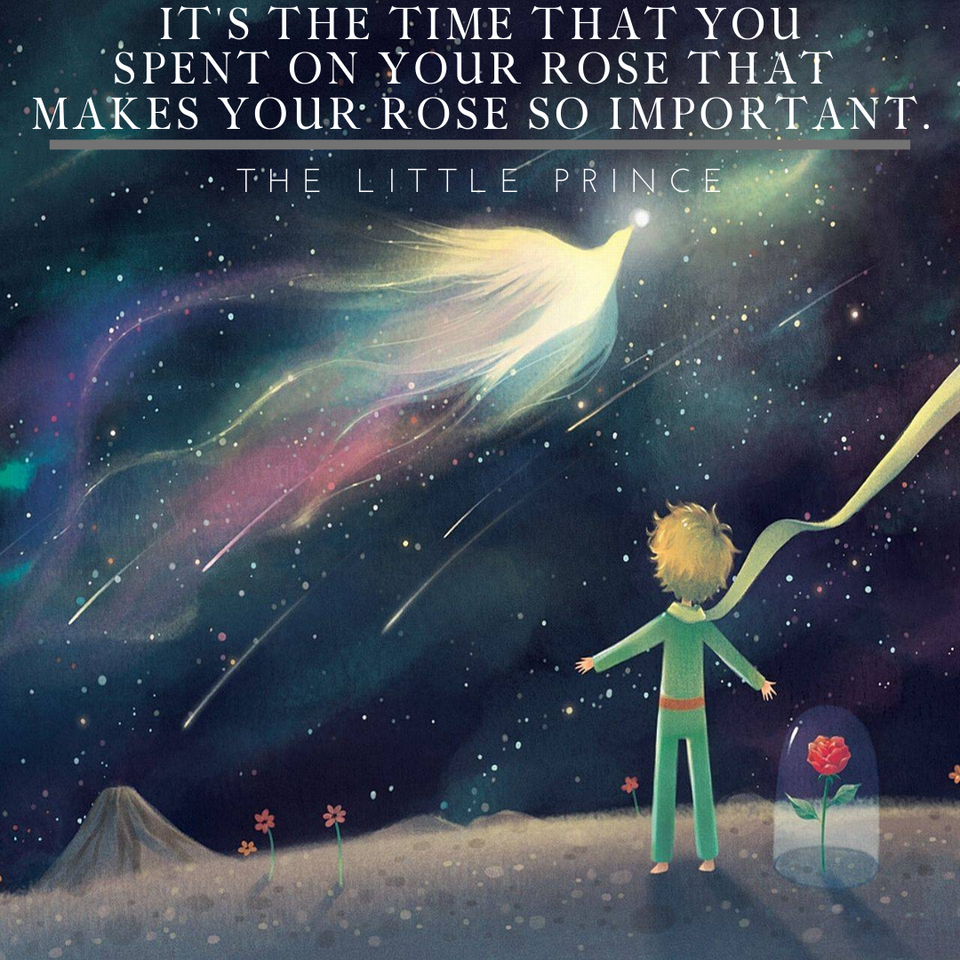 The Rose You Water: Purpose, Time, and the Little Things That Matter Most