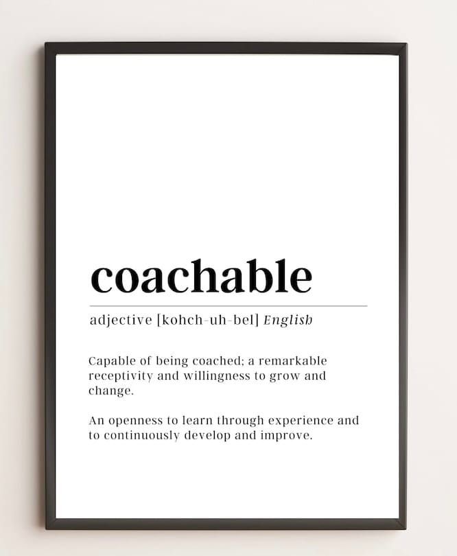 Shoshin: The Art of Staying Coachable