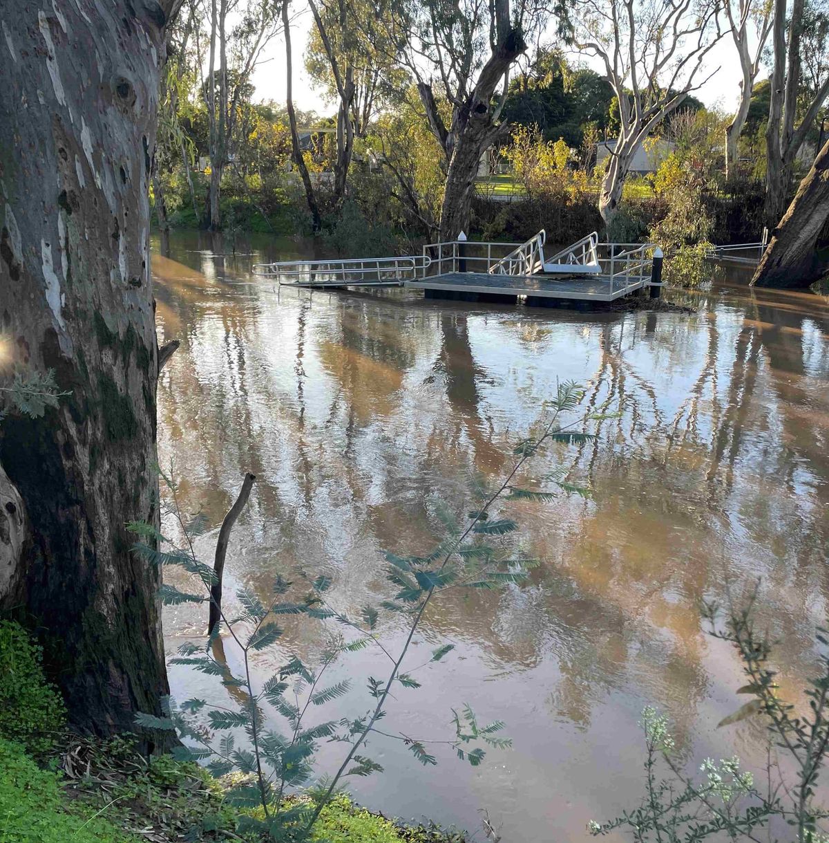 Campaspe comes up at Rochy but no problems for locals