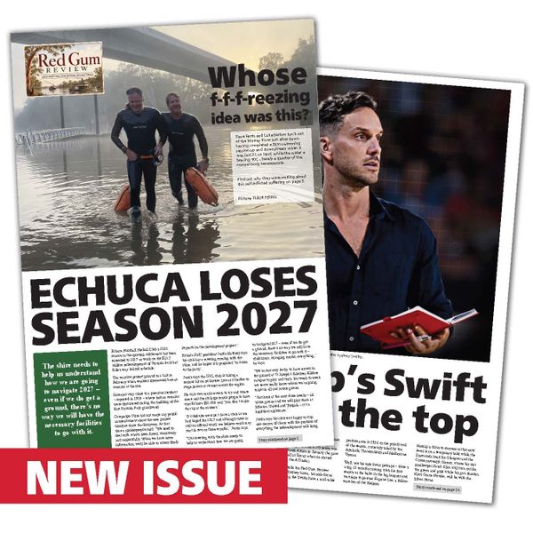 Issue 3