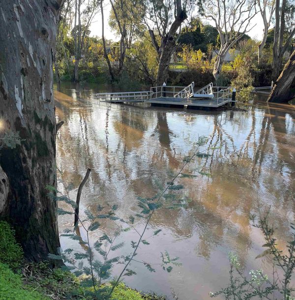 Campaspe comes up at Rochy but no problems for locals