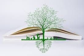 Статьи (про основы совершенствования) Articles (about the basics of improvement)