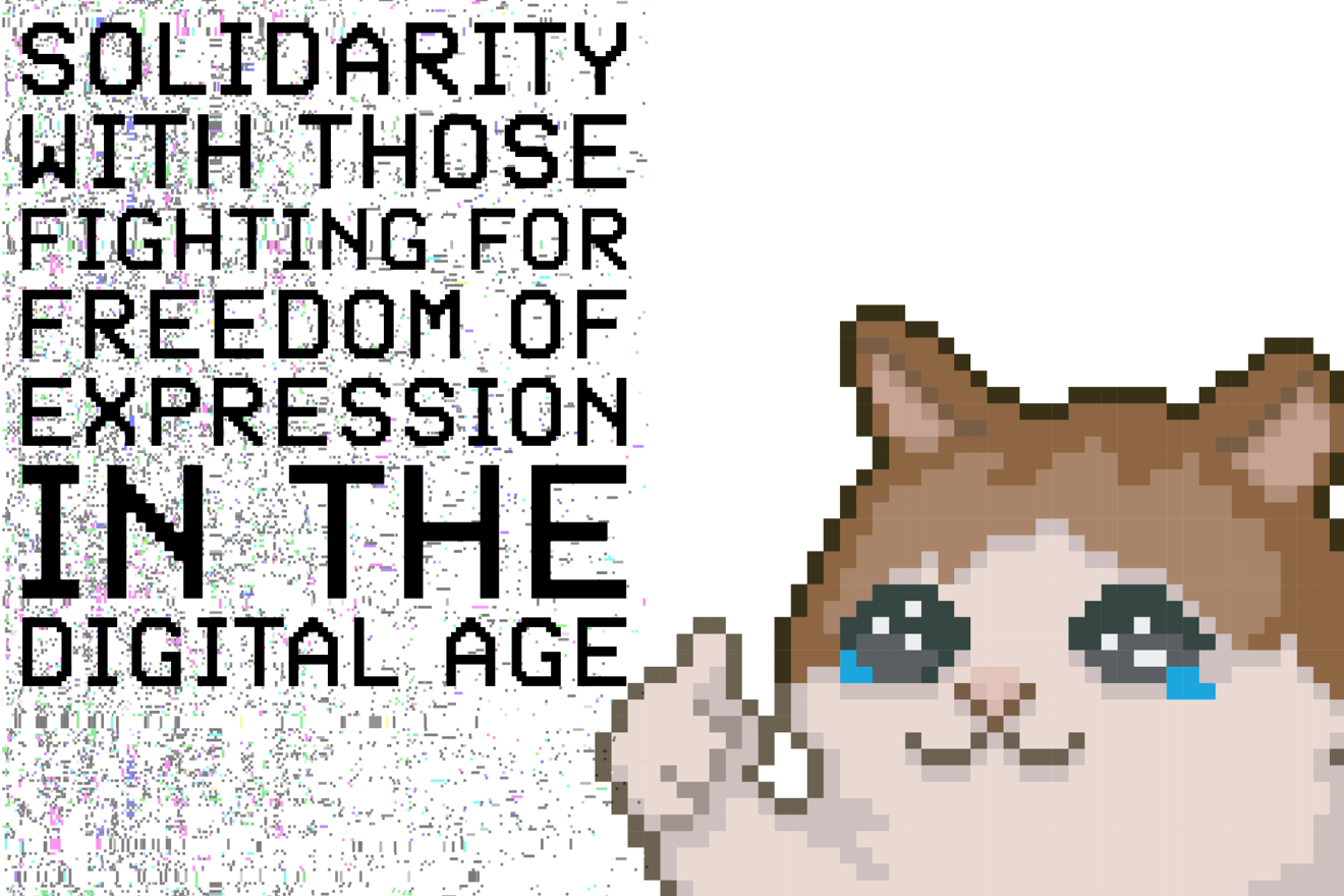 A pixel art cat giving a thumbs up with tears in its eyes and smiling next to the text SOLIDARITY WITH THOSE FIGHTING FOR FREEDOM OF EXPRESSION IN THE DIGITAL AGE
