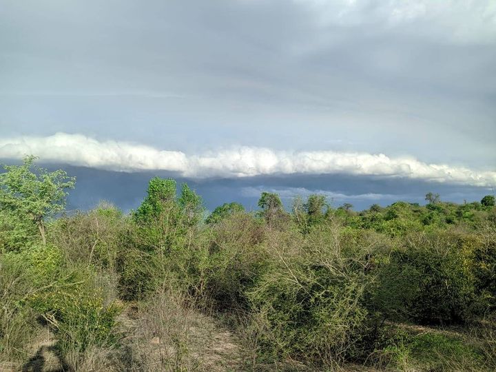 Rain clouds approaching a forest in Madagascar. 