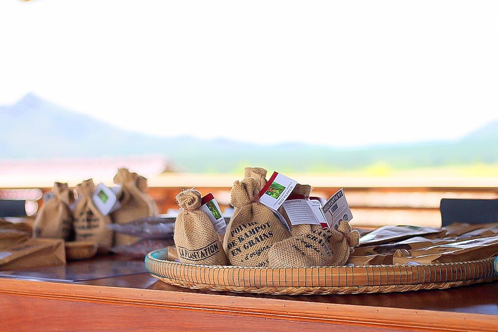 Bundles of organic Kampot pepper drying at La Plantation pepper farm