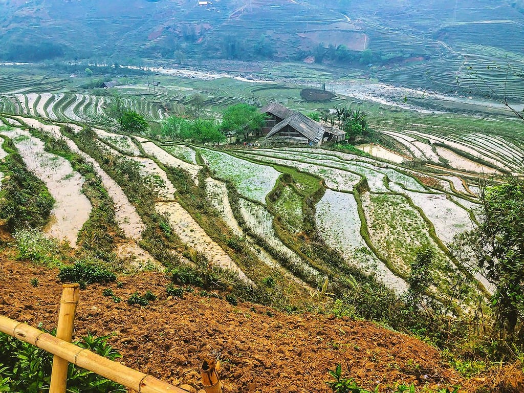 Trekking through rice fields in Ta Van village, Sapa