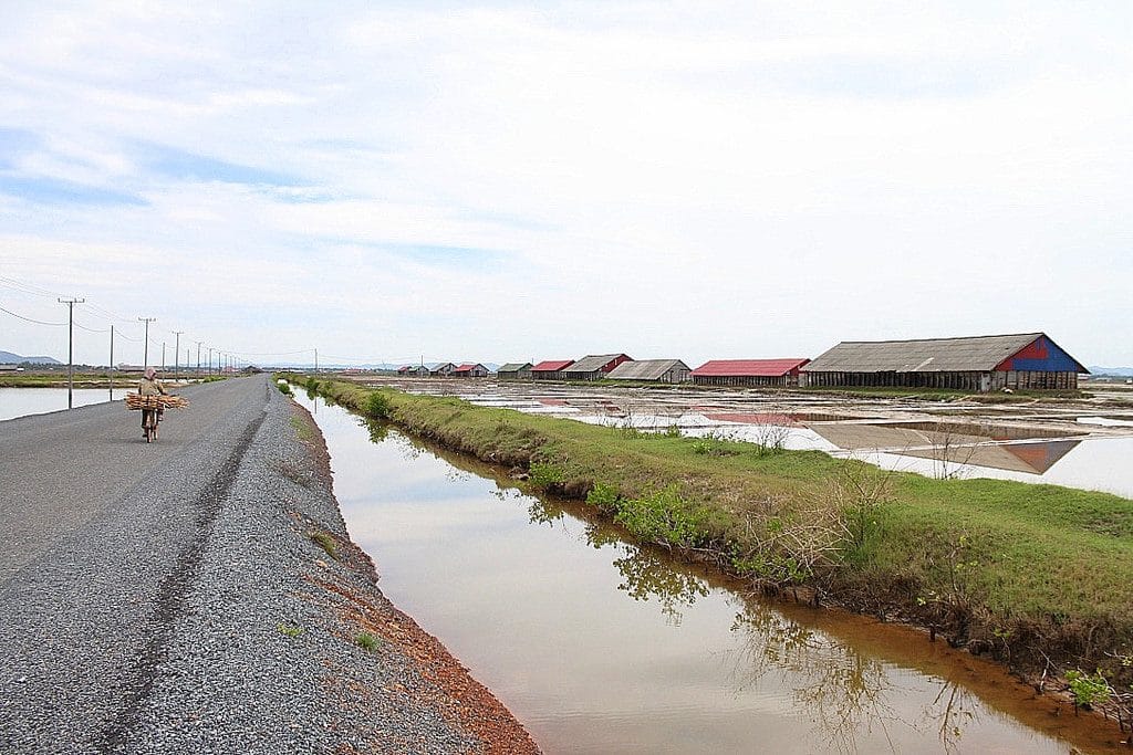 Motorbike ride through the salt fields on the way to La Plantation in Kampot