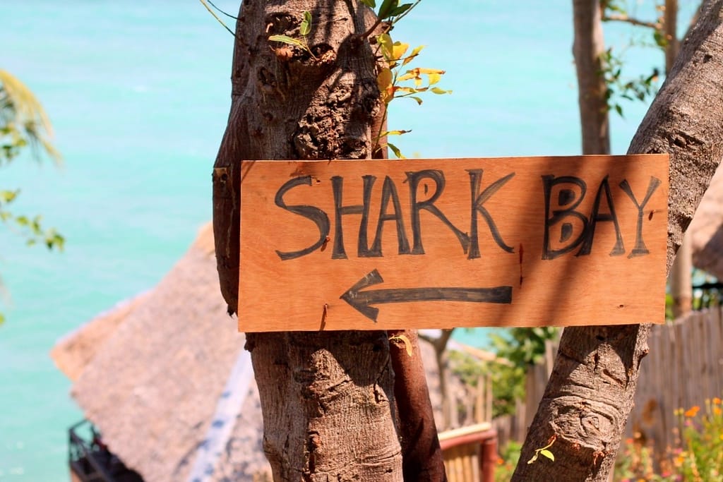 Beautiful turquoise waters of Shark Bay on Koh Tao island Thailand