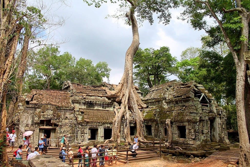 Ancient Ta Prohm temple with massive silk-cotton tree roots growing through the stone ruins at Angkor