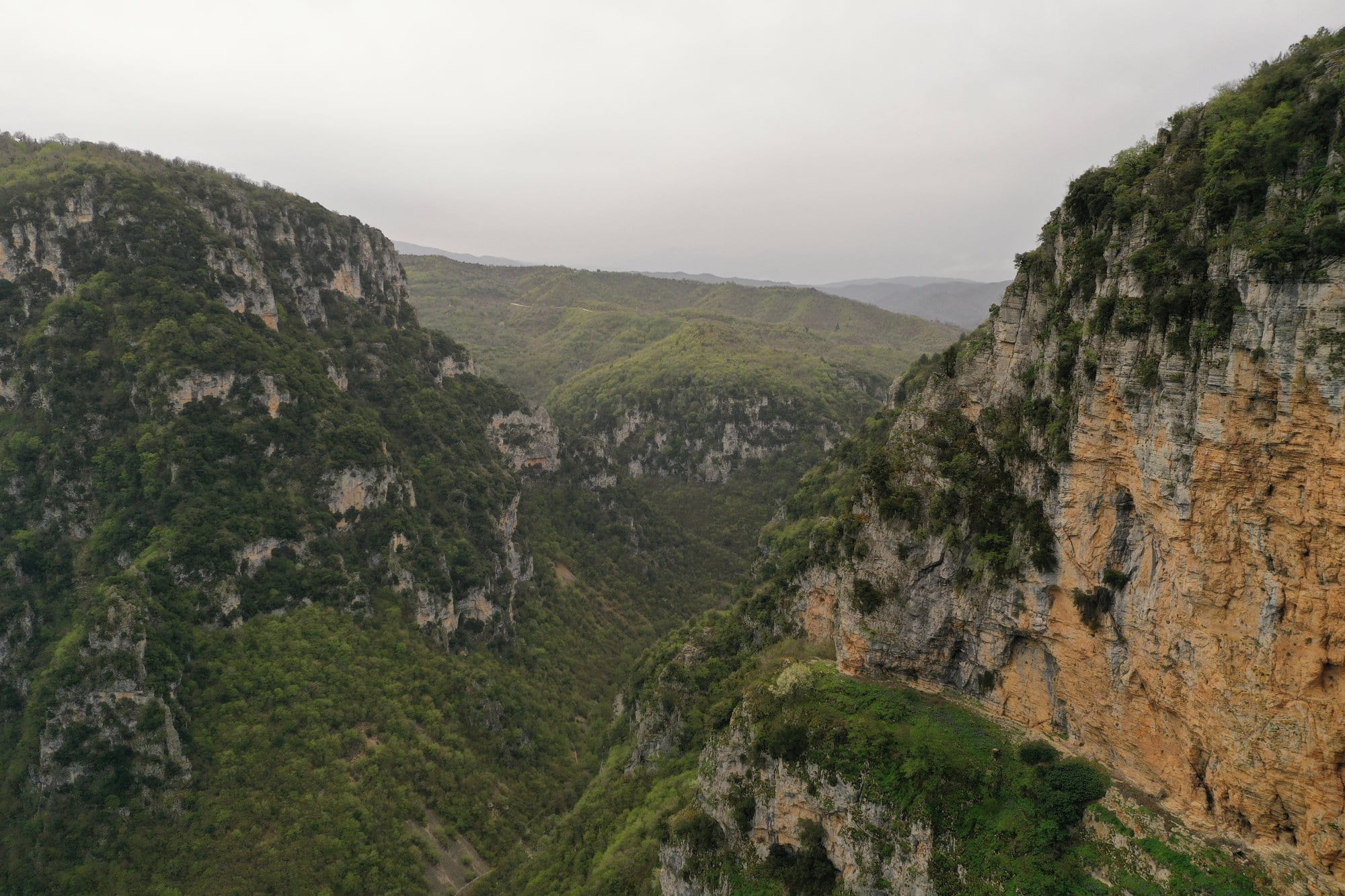 Vue par drone des Gorges de Vikos avec falaises abruptes et versants boisés — Zagori, Grèce