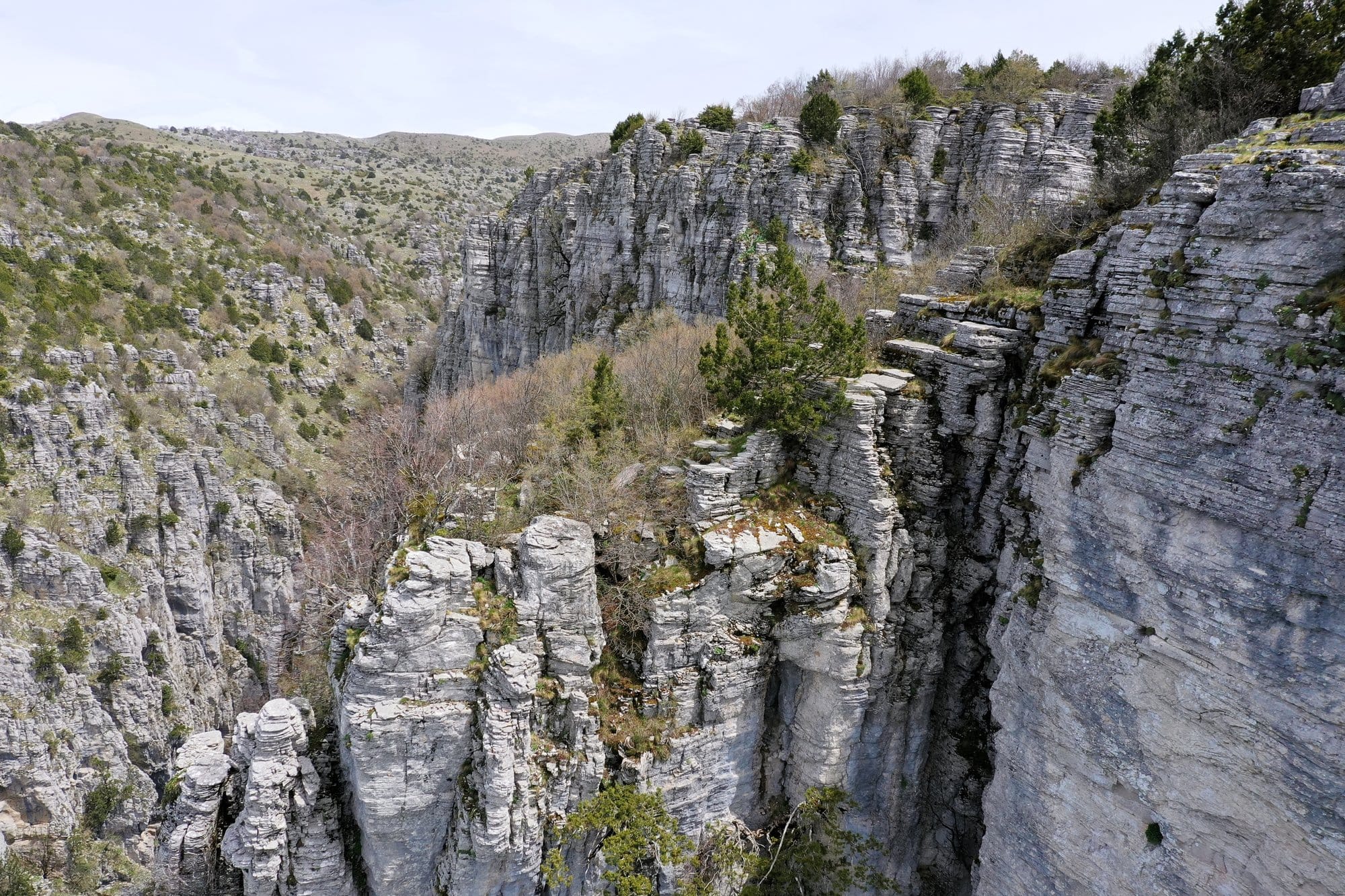 Vue aérienne du rebord des Gorges de Vikos avec la forêt verte d'avril — Zagori, Grèce
