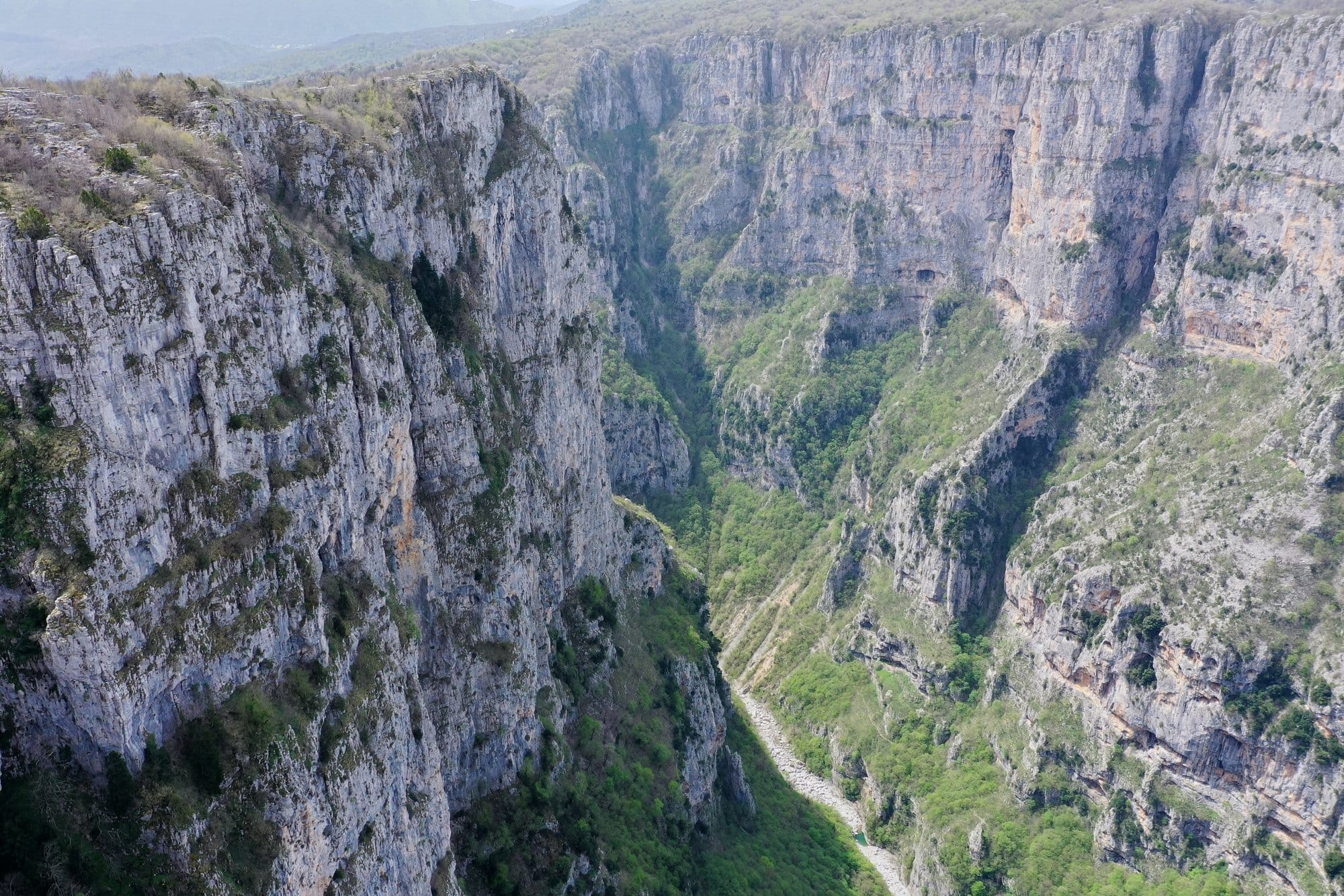 Aerial of the Vikos gorge rim with steep cliffs and green forest — Zagori, Greece