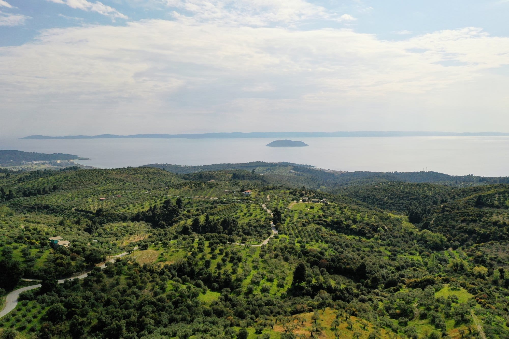 Vue aérienne des oliveraies et collines de Sithonia avec la mer et le mont Athos au loin — Grèce