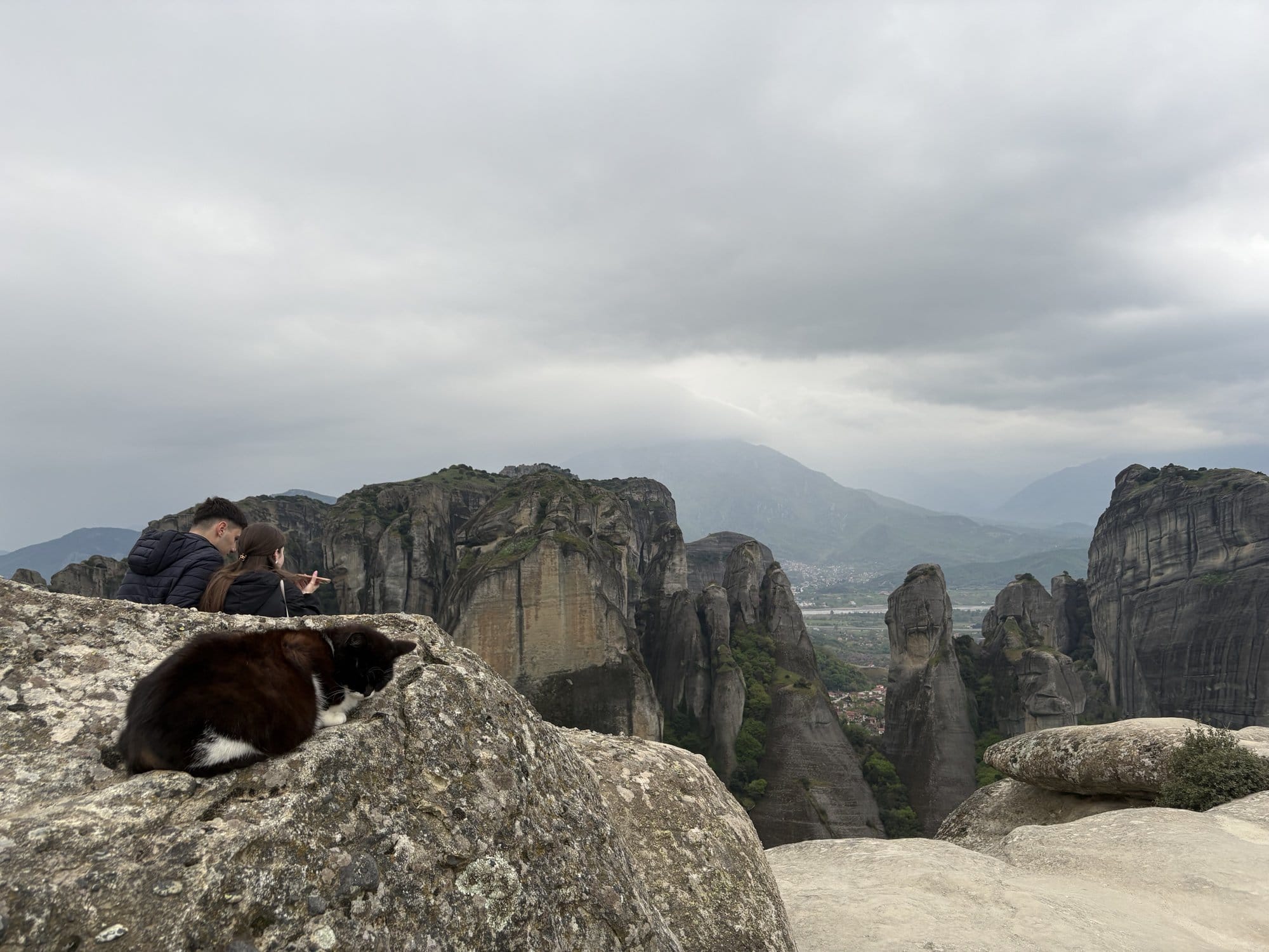 Chat allongé sur un rocher à un point de vue de Meteora, monastères visibles en arrière-plan — Grèce