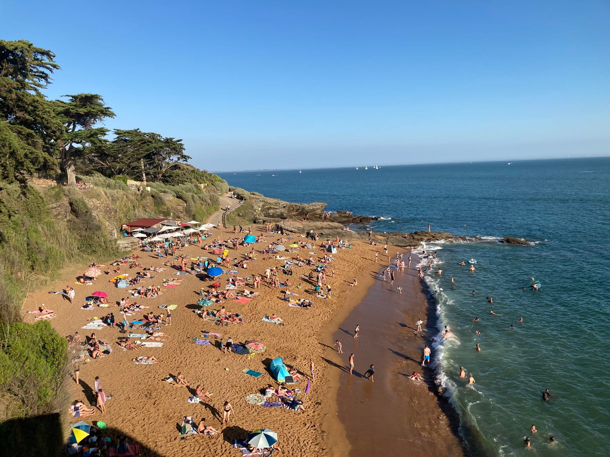 Wide golden beach from elevated viewpoint with families spread across sand and pine-covered headland