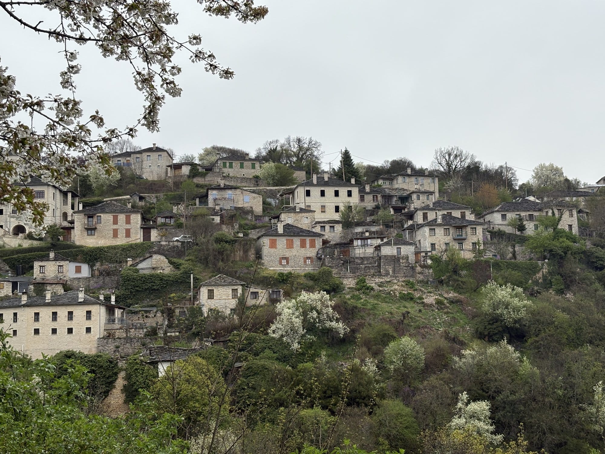 Village de Vitsa sur un versant avec maisons en pierre et arbres en fleurs — Zagori, Grèce