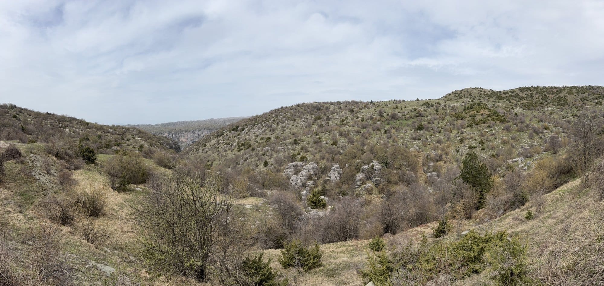 Formations rocheuses grises éparpillées sur un versant verdoyant du Zagori — Forêt de Pierre, Grèce