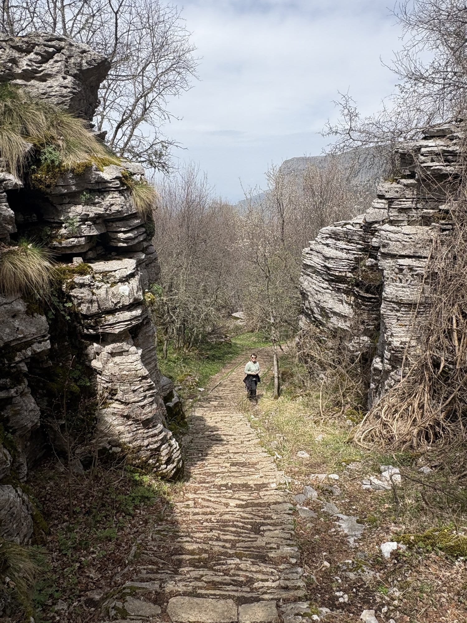 Rochers de calcaire blanchis par le soleil sur le plateau de la Forêt de Pierre au-dessus de Vradeto — Zagori, Grèce
