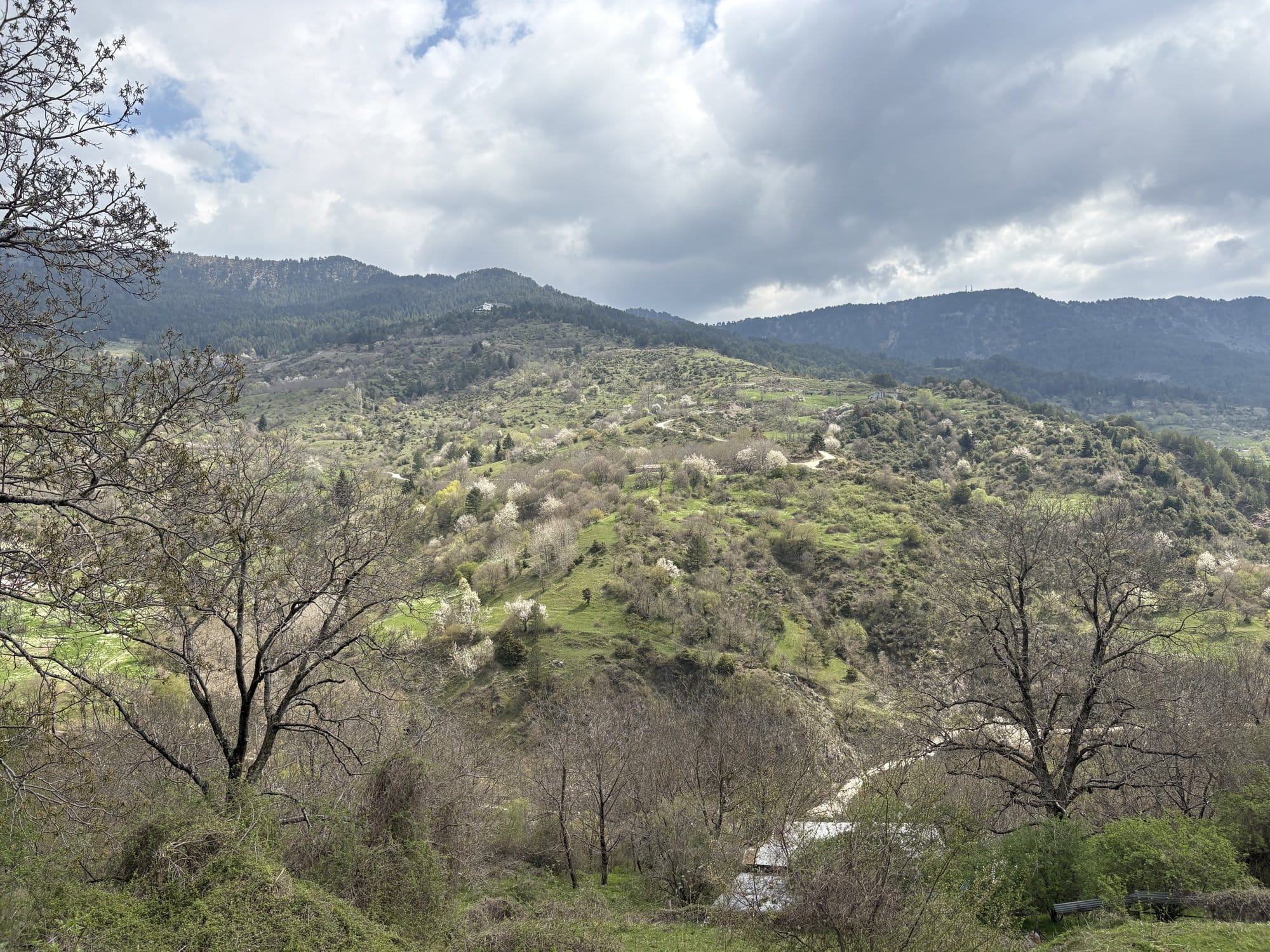 Pindus valley view from Metsovo with cherry blossoms on the slopes — Greece