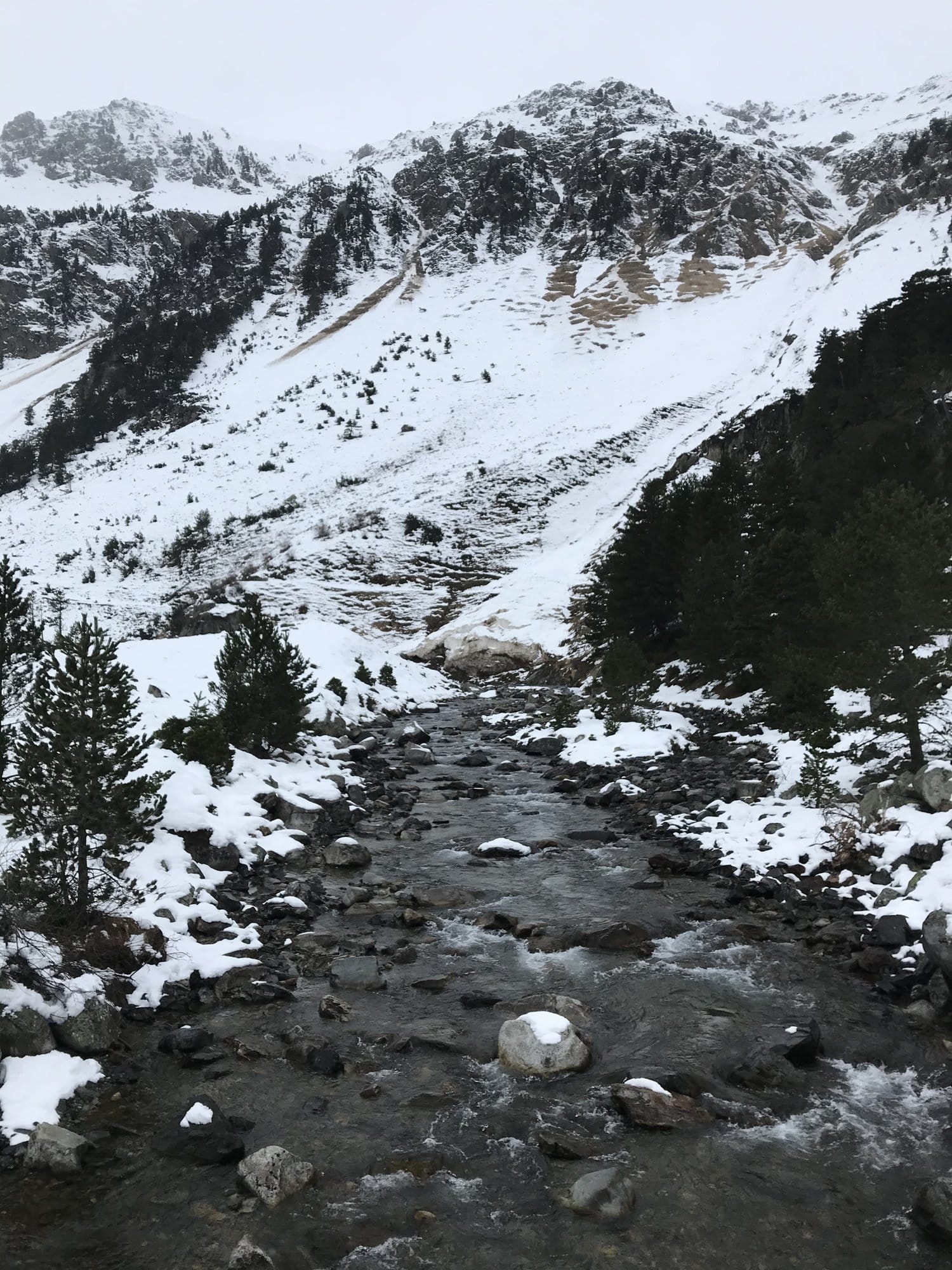 A mountain stream flowing between snow-covered banks with pine trees and rocky Pyrenean ridges rising behind — Cauterets valley, France