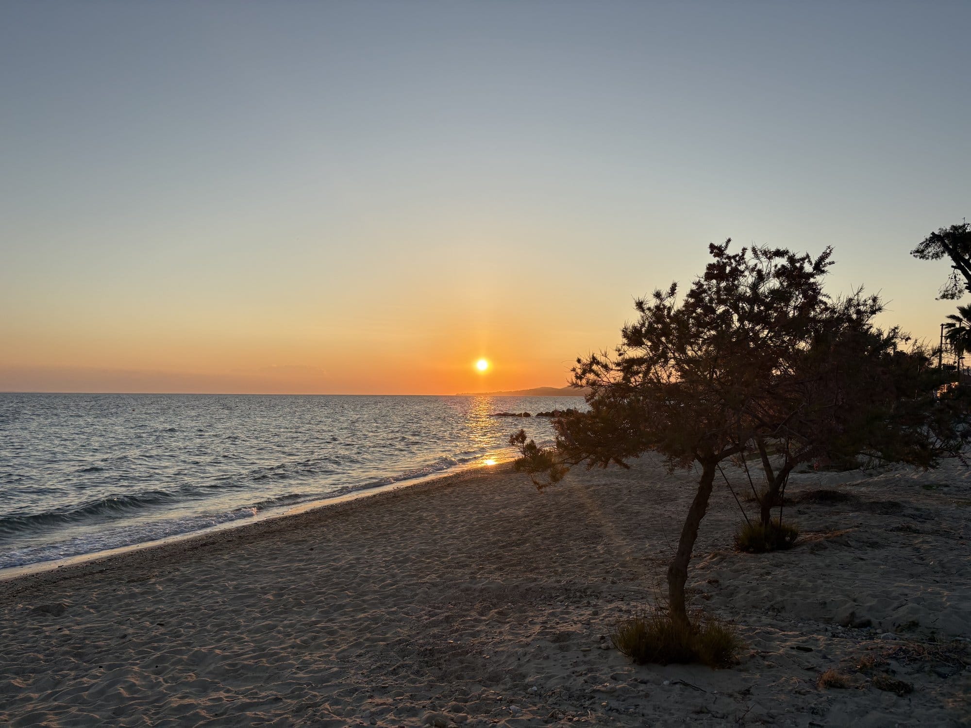 Pin solitaire en silhouette contre un coucher de soleil d'avril sur une plage de Sithonia — Grèce