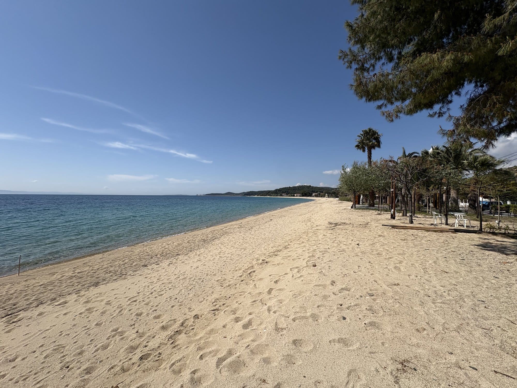 Longue plage de Sithonia bordée de palmiers avec sable doré et eau bleue — Grèce