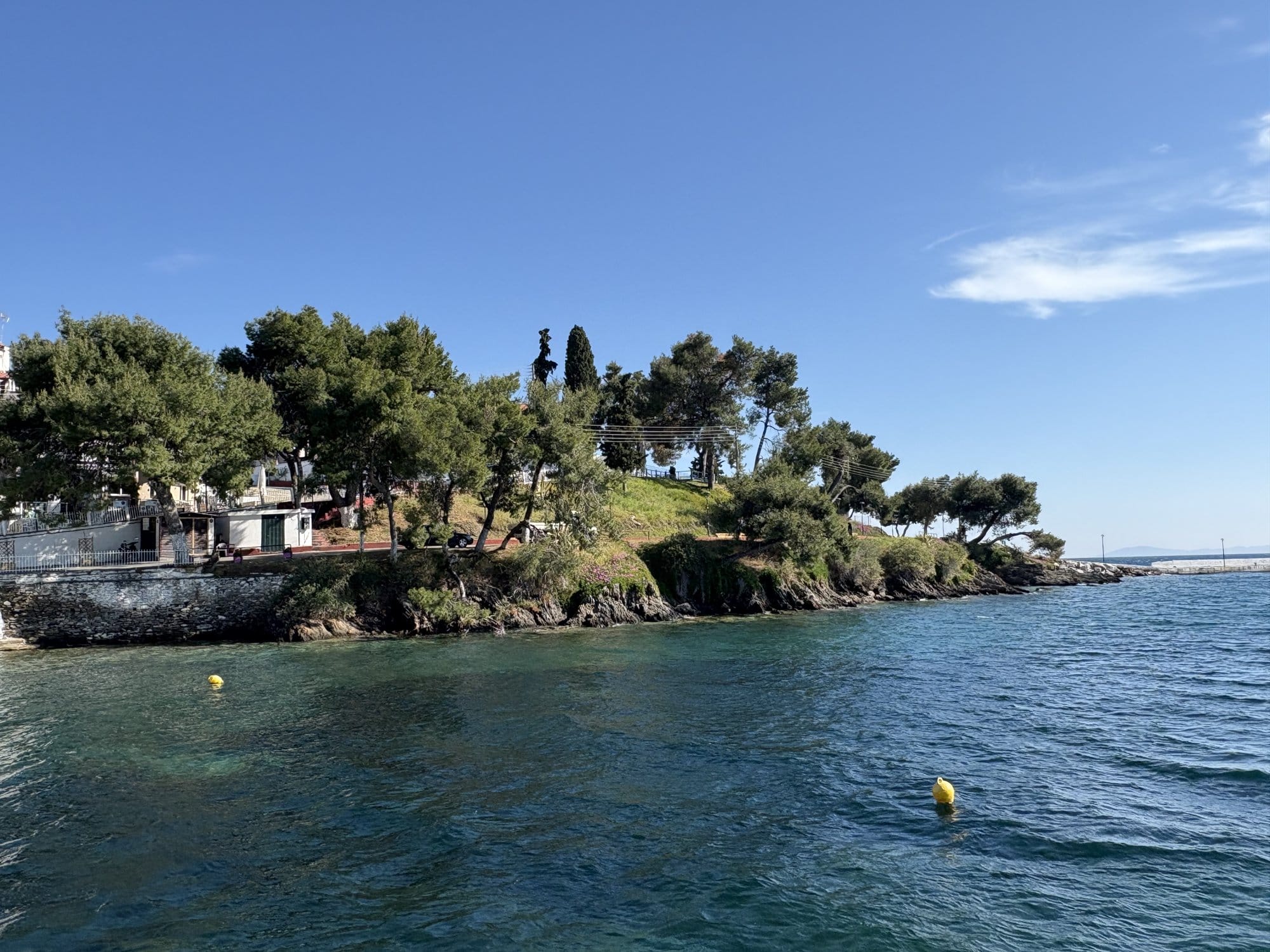 Cap boisé de pins sur la côte de Sithonia avec rivage rocheux et eau turquoise — Grèce