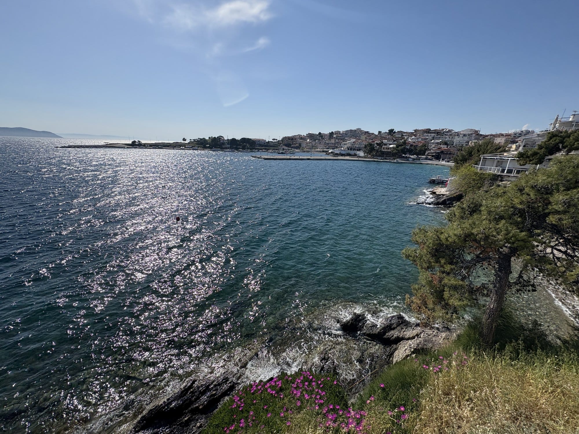 Littoral de Sithonia avec rivage rocheux, soleil sur la mer et cap couvert de pins — Grèce