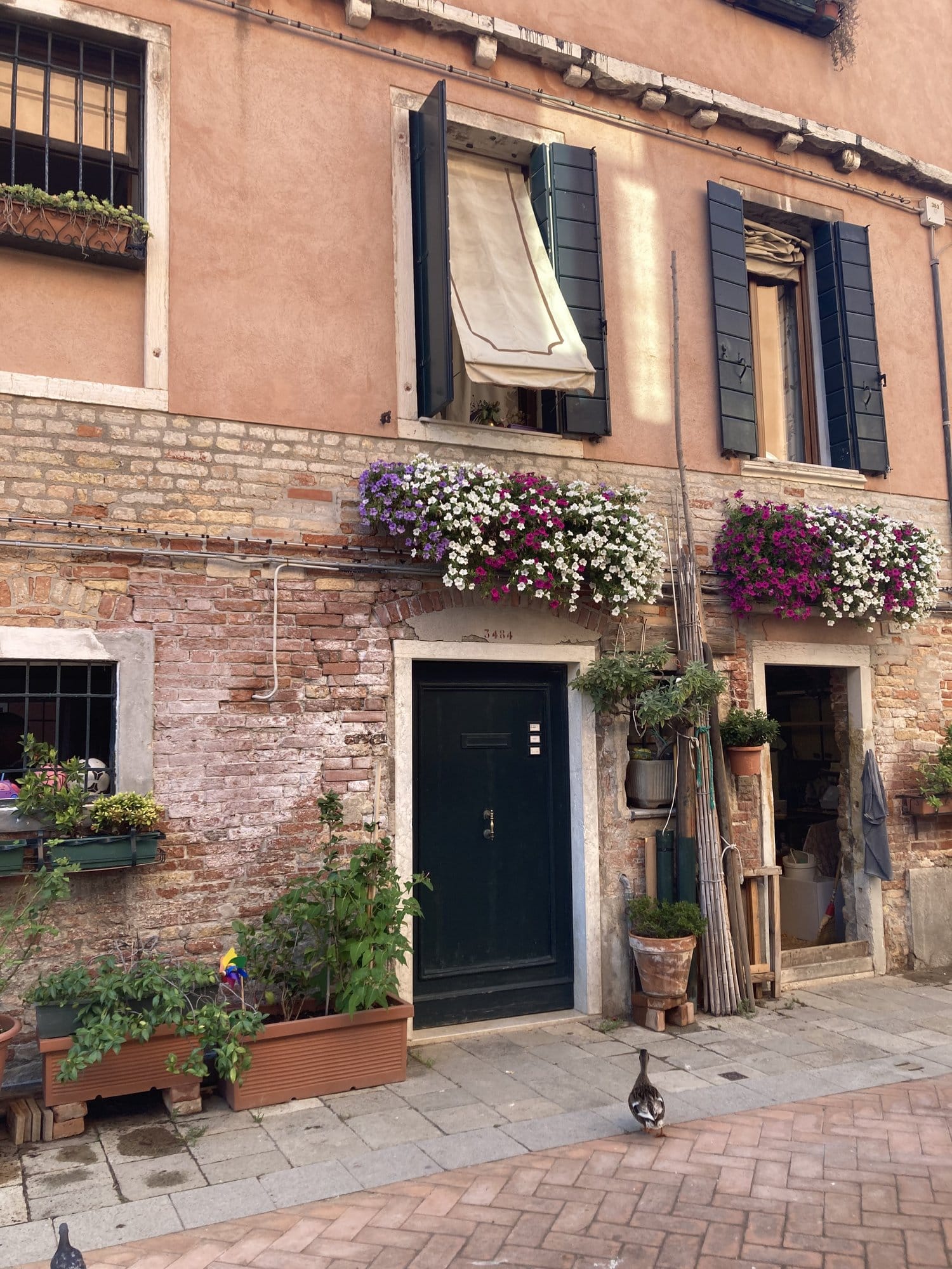 Flower-draped Venetian facade with green shutters in Cannaregio — Venice, Italy