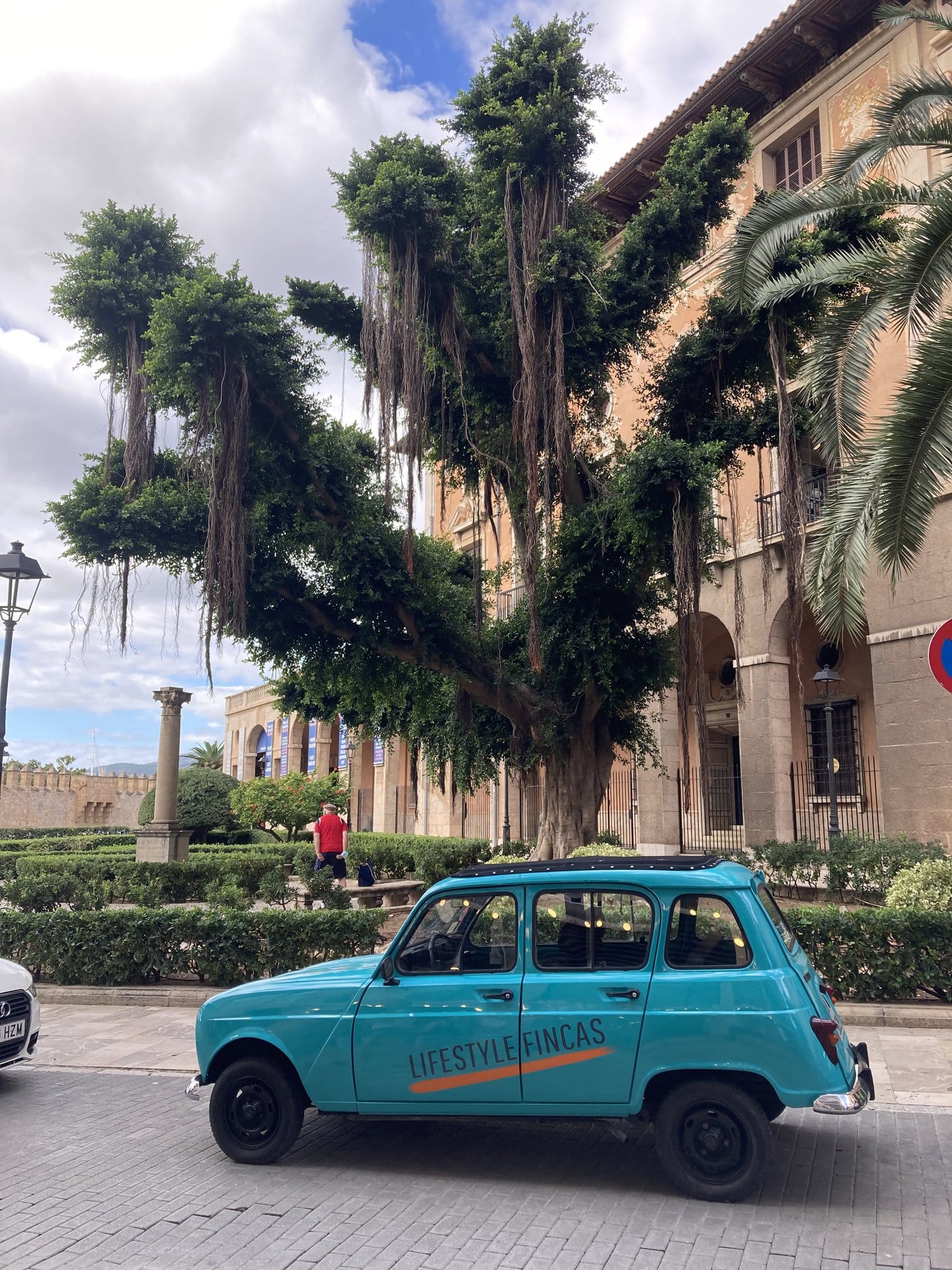 Ivy-covered courtyard — Palma, Spain