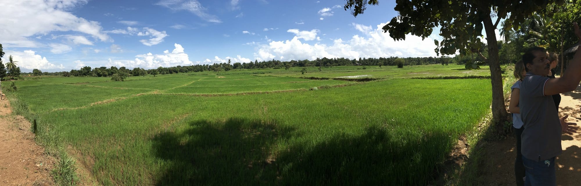 Elevated view across Polonnaruwa's ruins complex, visitors small against the landscape of crumbling Buddhist structures — Polonnaruwa, Sri Lanka